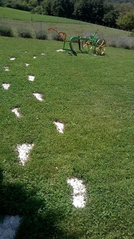 Agroturism Stara Stala Hotel Borut Buitenkant foto