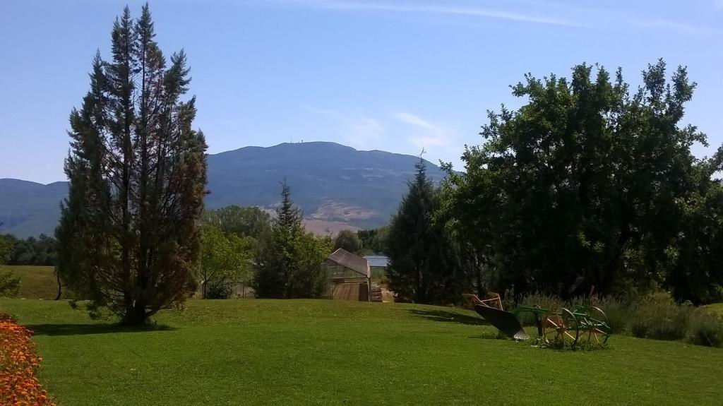Agroturism Stara Stala Hotel Borut Buitenkant foto