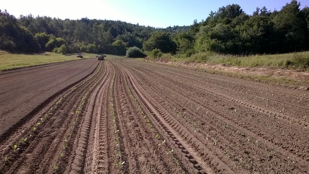 Agroturism Stara Stala Hotel Borut Buitenkant foto