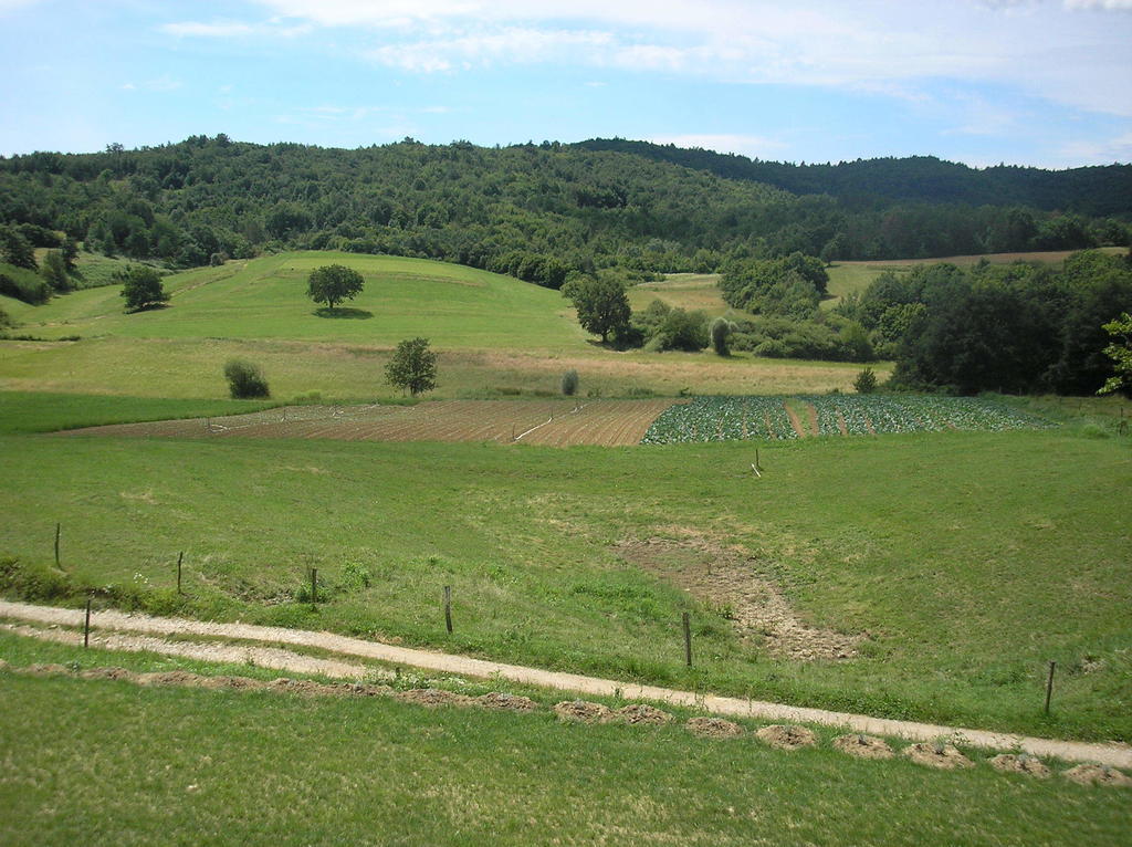 Agroturism Stara Stala Hotel Borut Buitenkant foto