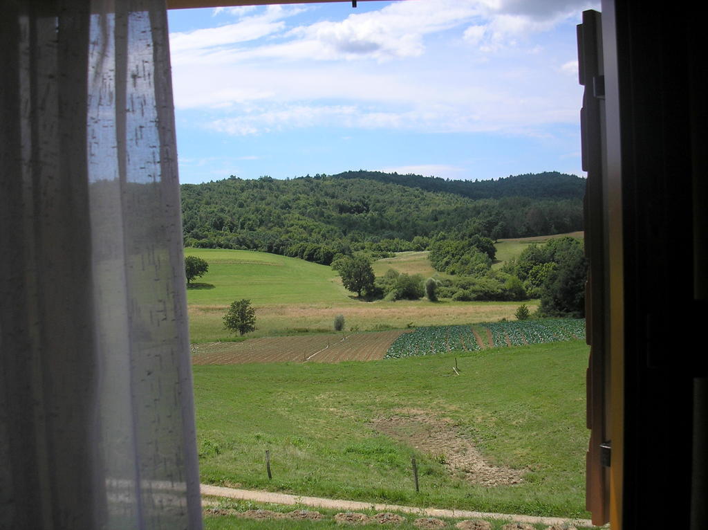 Agroturism Stara Stala Hotel Borut Kamer foto