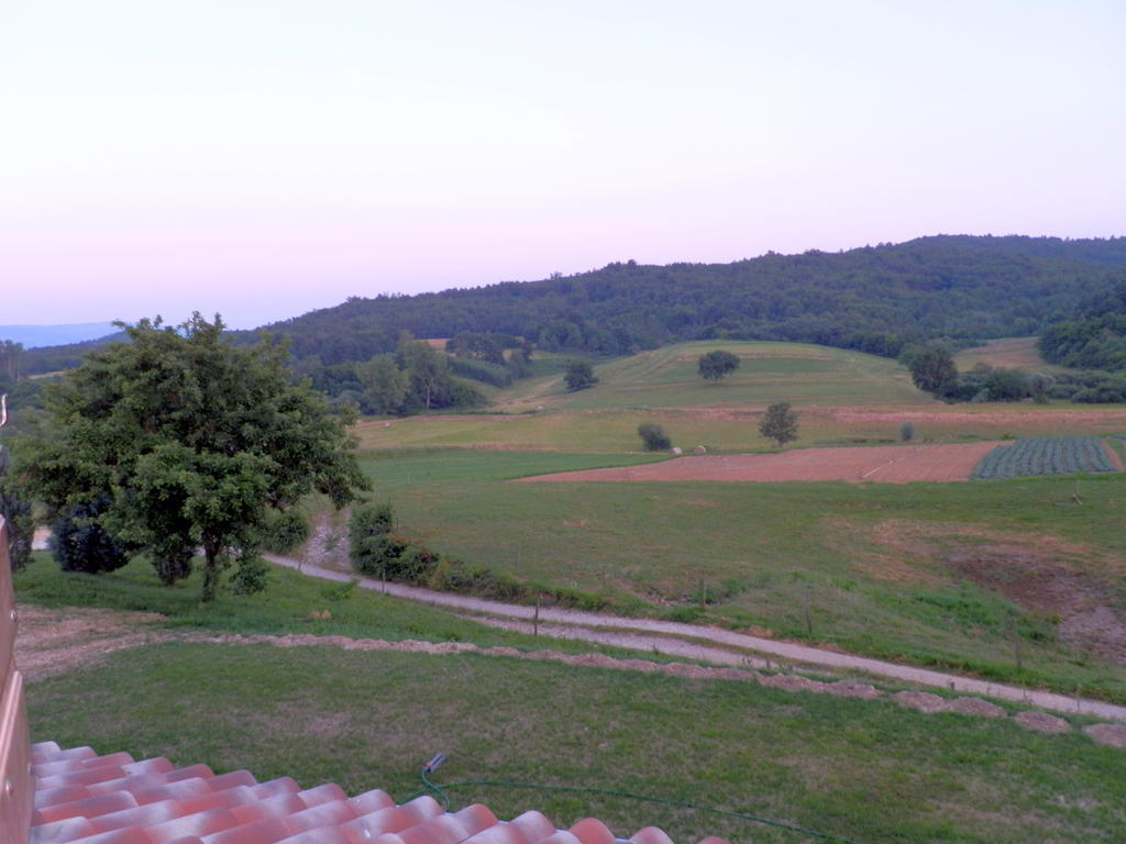 Agroturism Stara Stala Hotel Borut Kamer foto